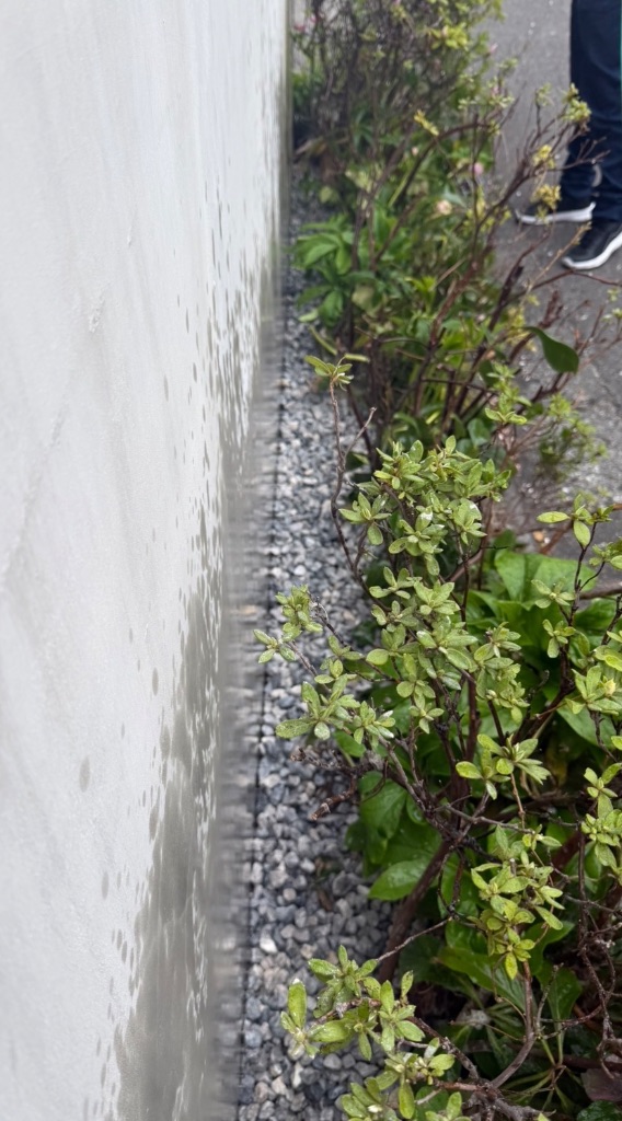 砂利を敷いた植木周り
