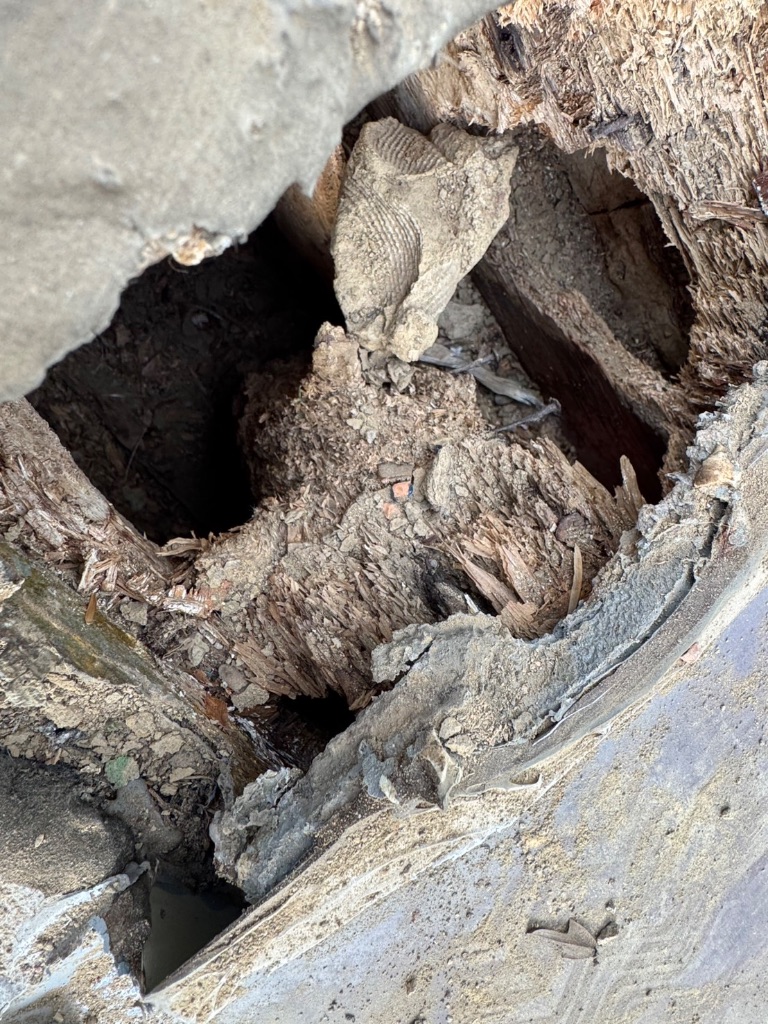 屋根の木部腐食